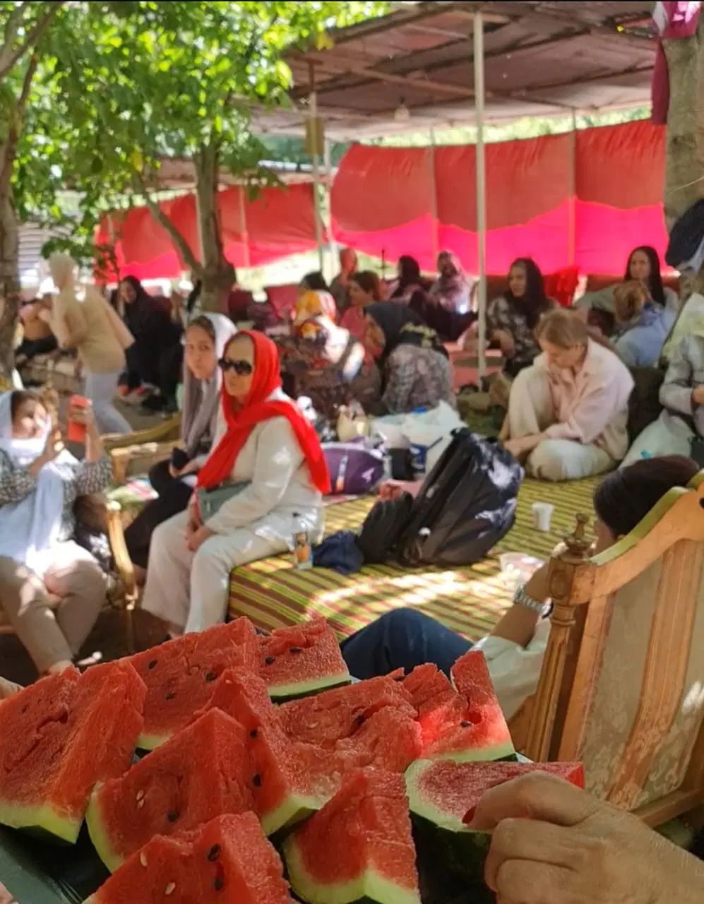 تور یک روزه جاده چالوس ویژه بانوان|تور و چارتر|تهران, صادقیه|دیوار