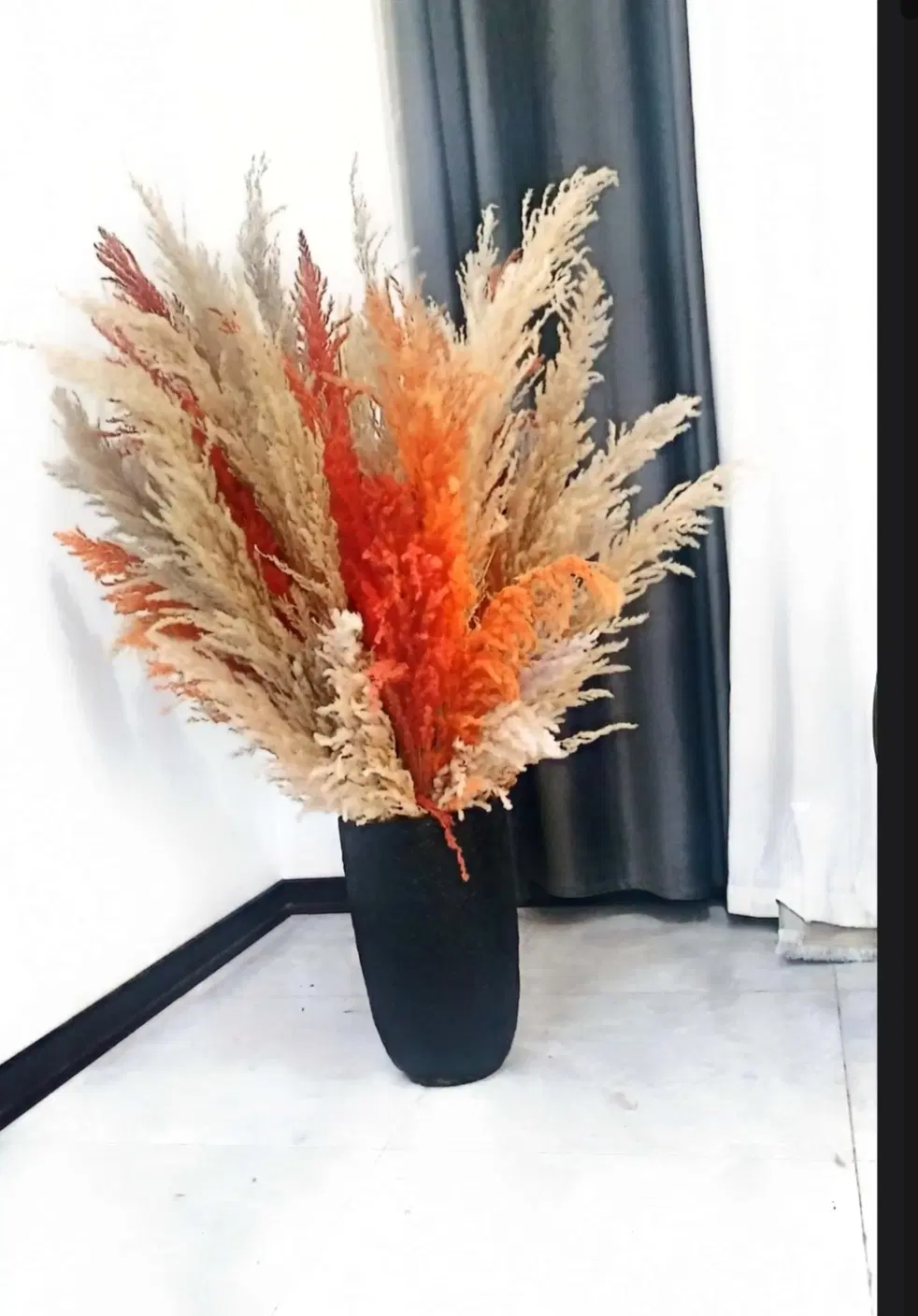 گل طبیعی|گل و گیاه طبیعی|کرج, فاز ۳ گوهردشت|دیوار
