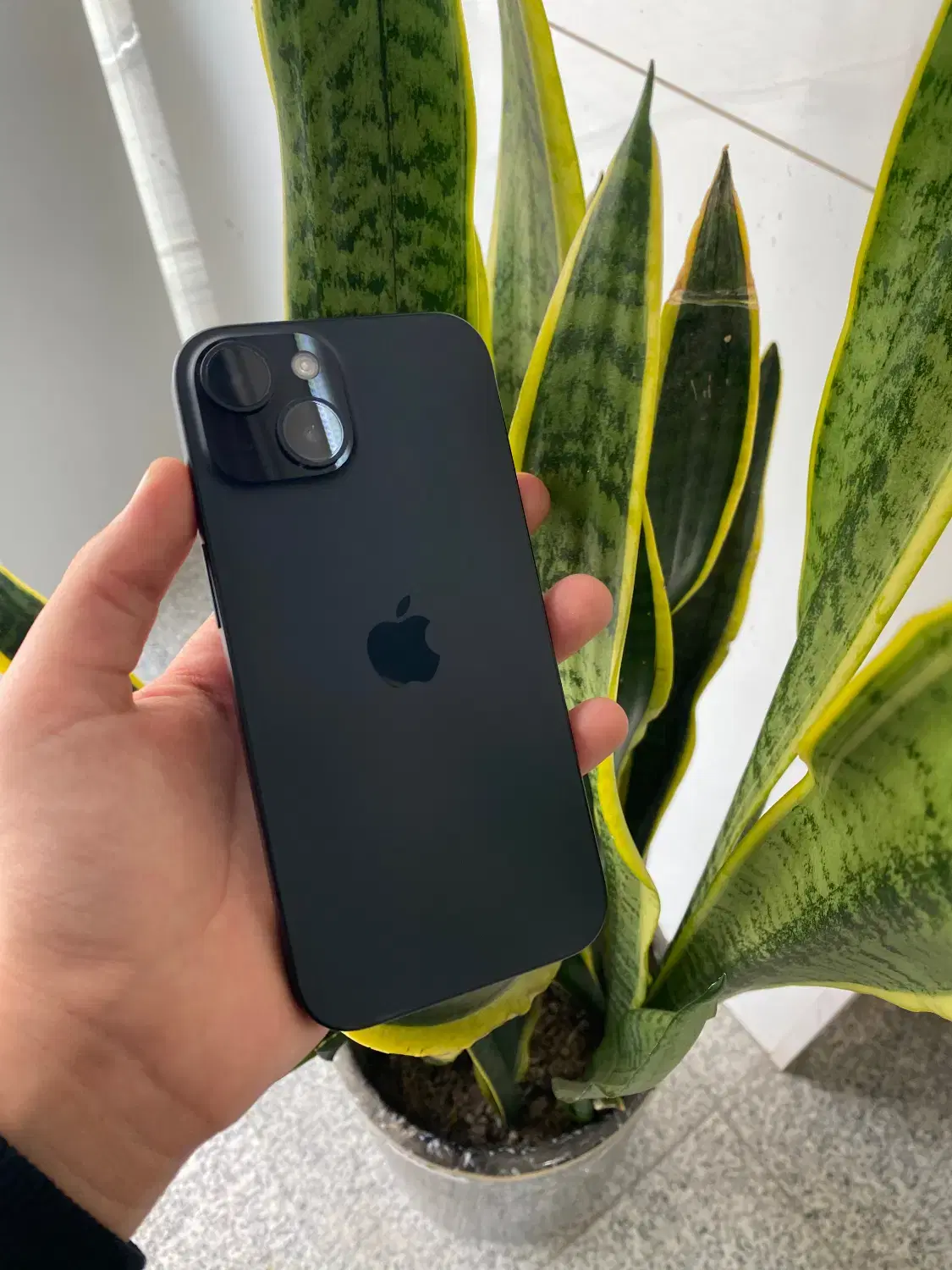 IPHONE 15Normal|موبایل|اردبیل, |دیوار