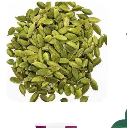 هل سبز|گل و گیاه طبیعی|مشهد, شهید بهشتی|دیوار
