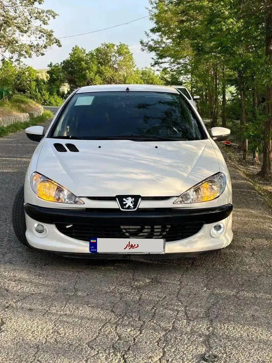 206 sd v8 مدل 88|خودرو سواری و وانت|ارومیه, |دیوار