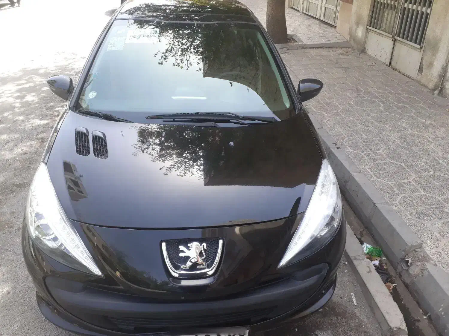 ۲۰۷ پانا ۱۴۰۲|خودرو سواری و وانت|تهران, علم و صنعت|دیوار