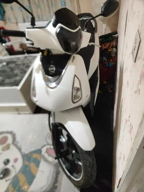 180|موتورسیکلت|پرند, فاز ۵|دیوار