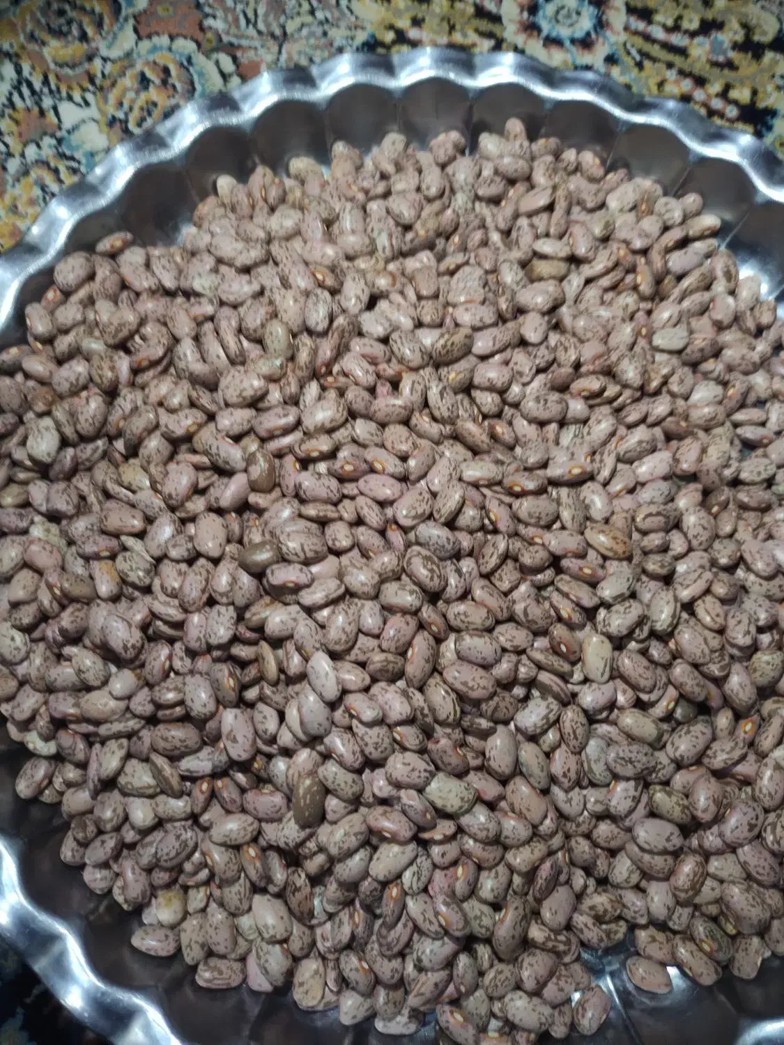 لوبیا|خوردنی و آشامیدنی|مشهد, شهید جنگی|دیوار