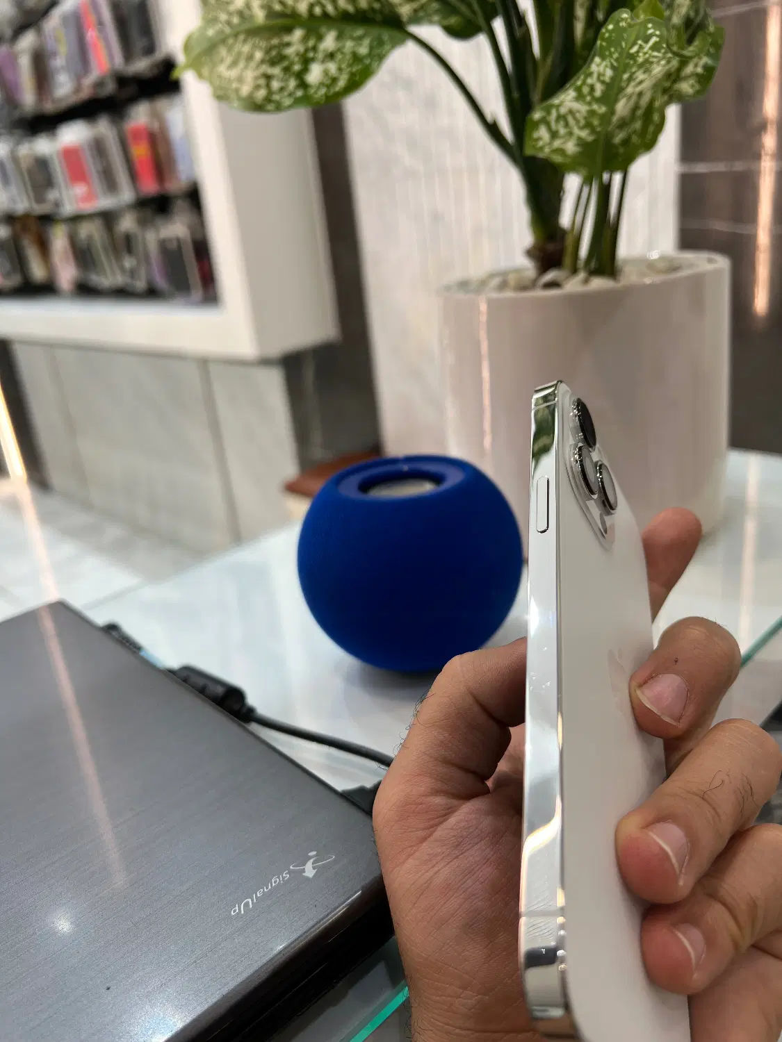 iphone 13promax|موبایل|تهران, جلیلی|دیوار