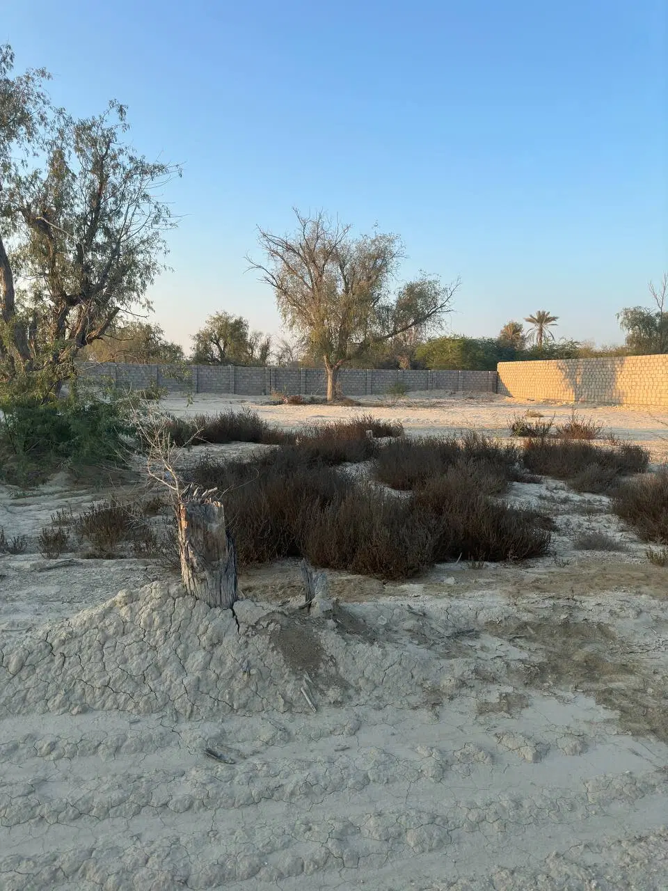 تصویر 3