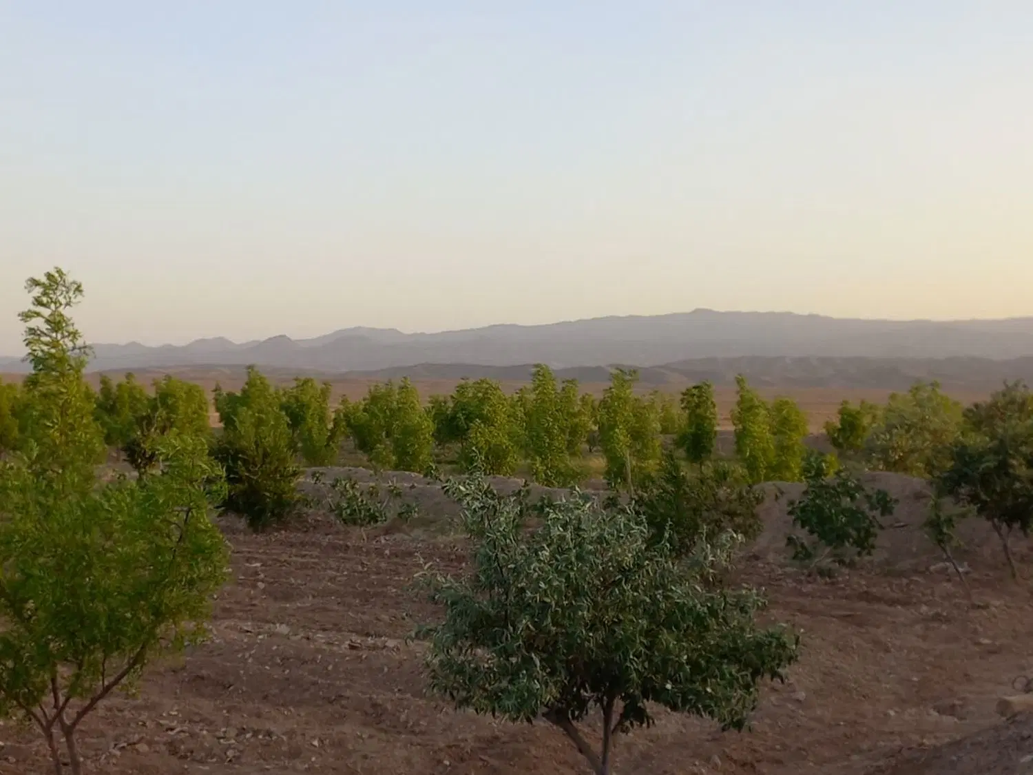 تصویر 2