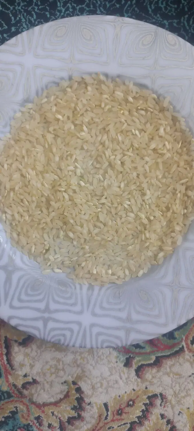 برنج|خوردنی و آشامیدنی|کامفیروز, |دیوار