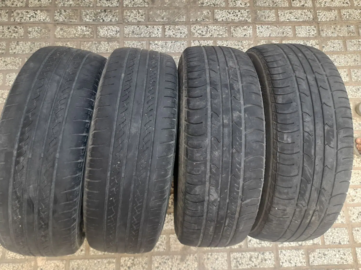 لاستیک|قطعات یدکی و لوازم جانبی|تربت‌حیدریه, سرمحله|دیوار