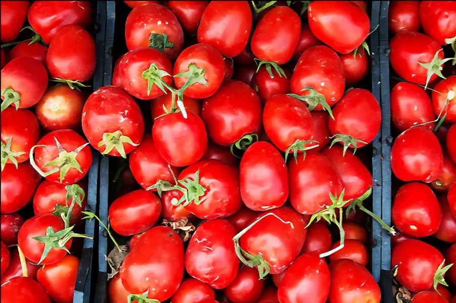 گوجه|خوردنی و آشامیدنی|تویسرکان, |دیوار