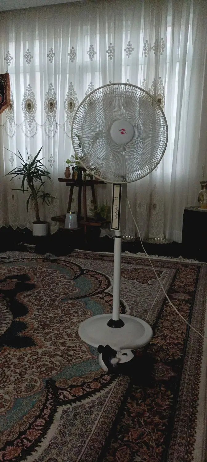 پنکه|پنکه و تصفیهکنندهٔ هوا|نیشابور, پاستور|دیوار