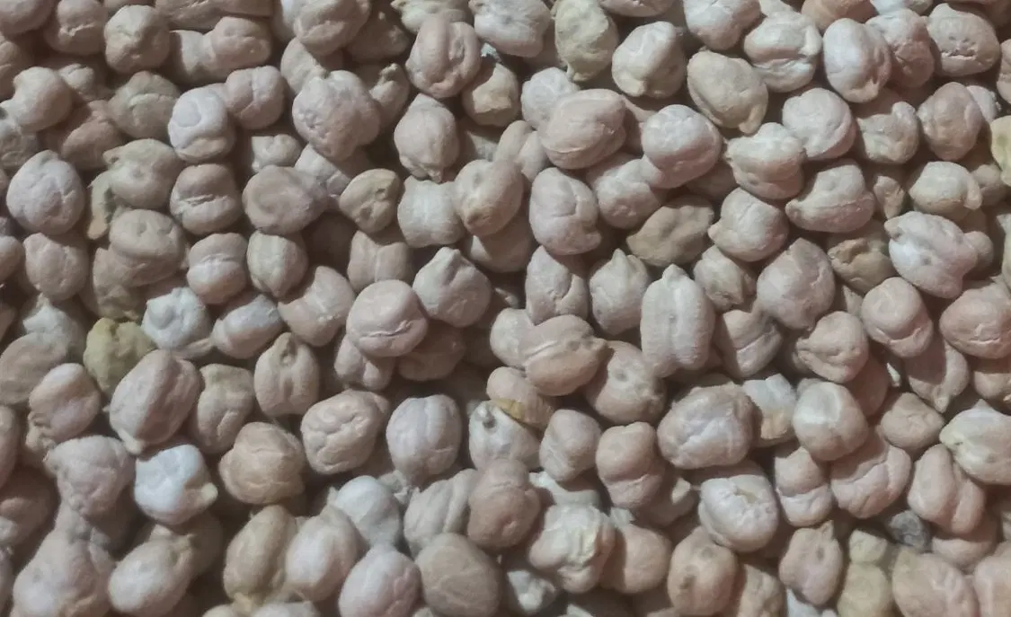 نخود|خوردنی و آشامیدنی|زاغه, |دیوار