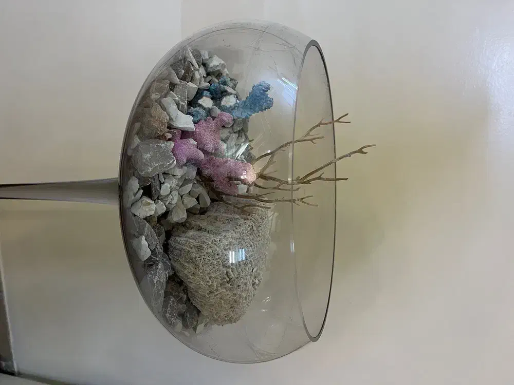 تنگ ماهی|صنایع دستی و سایر لوازم تزئینی|تهران, مشیریه|دیوار