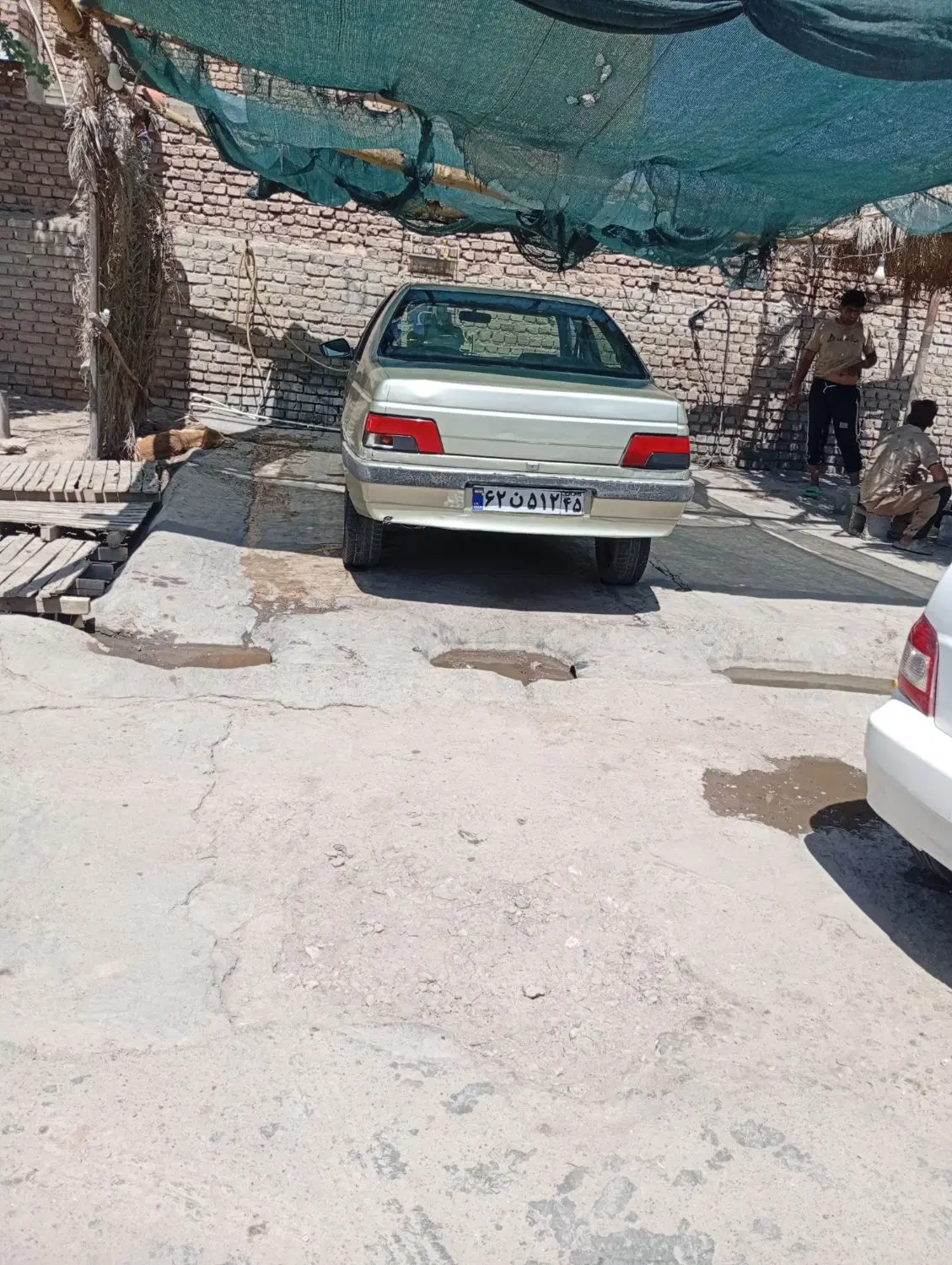 پژو مدل۸۴|خودرو سواری و وانت|کرمان, |دیوار