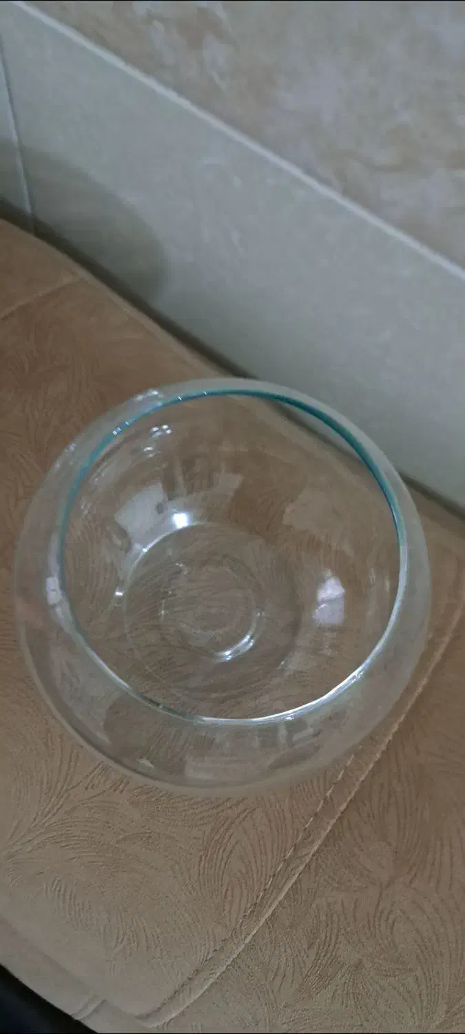 تنگ ماهی|ماهی|قم, ولیعصر|دیوار