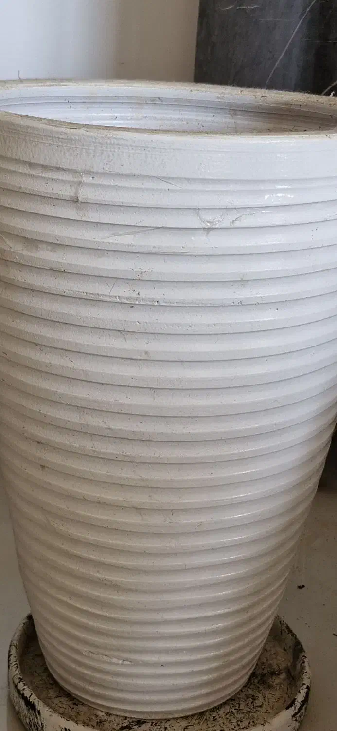 گلدان بلند|گل و گیاه طبیعی|کیش, |دیوار