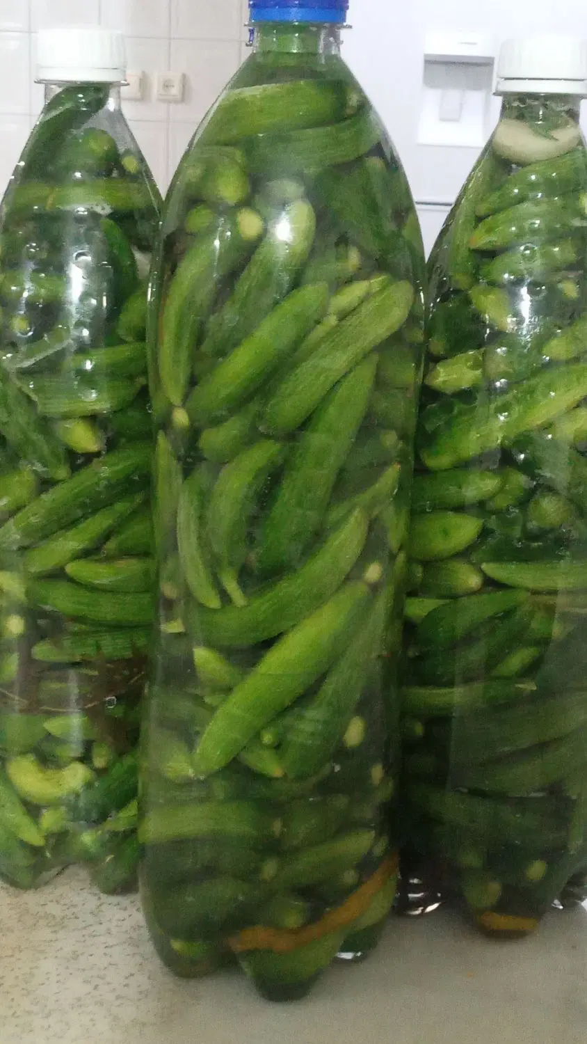 خیارشور|خوردنی و آشامیدنی|همدان, |دیوار