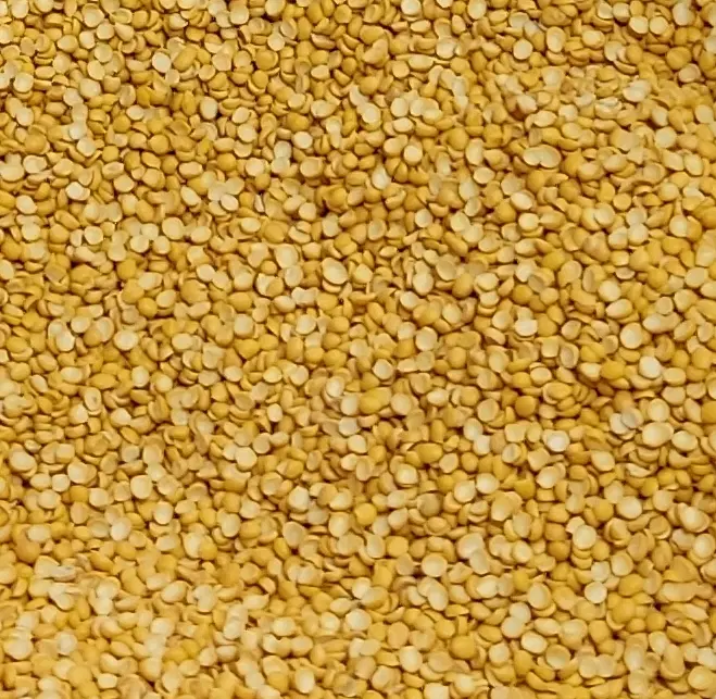 لپه|خوردنی و آشامیدنی|مشهد, شهید هاشمی نژاد|دیوار