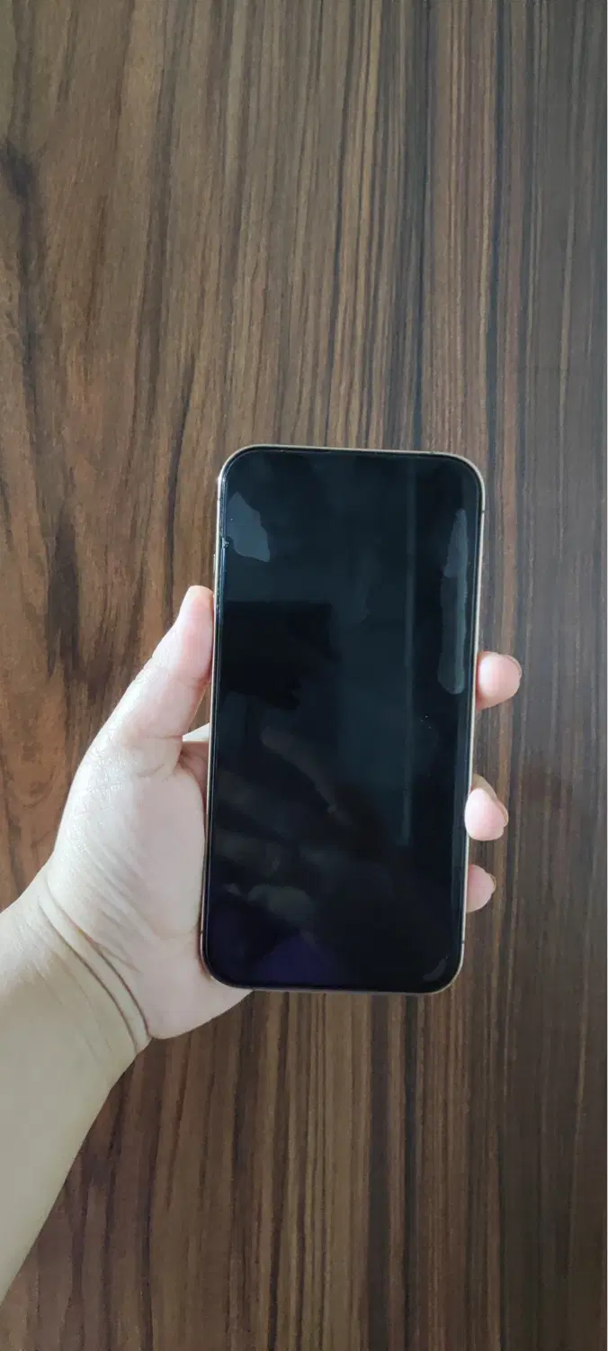 iPhone 13 pro|موبایل|بافق, |دیوار