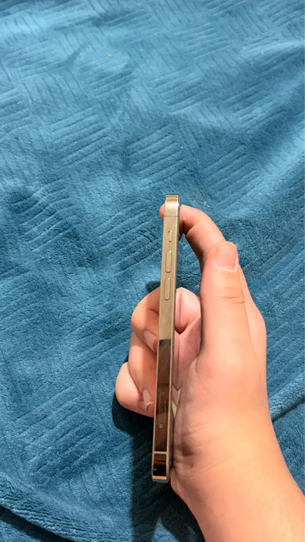 گوشی iPhone 12pro|موبایل|شیراز, نصر|دیوار