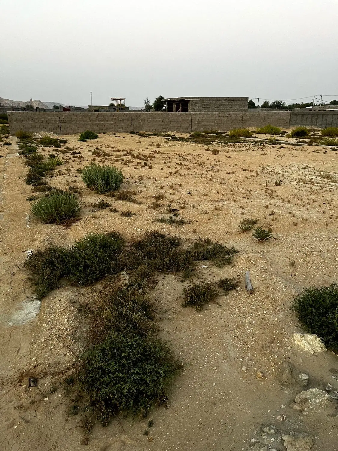 تصویر 6