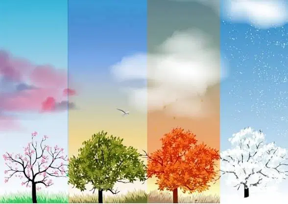 مزاج ها|خدمات آموزشی|زنجان, |دیوار