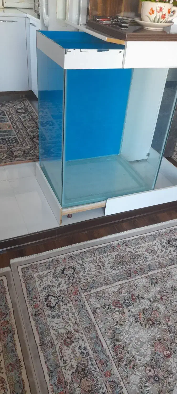 شیشه آکواریوم|ماهی|سنندج, |دیوار