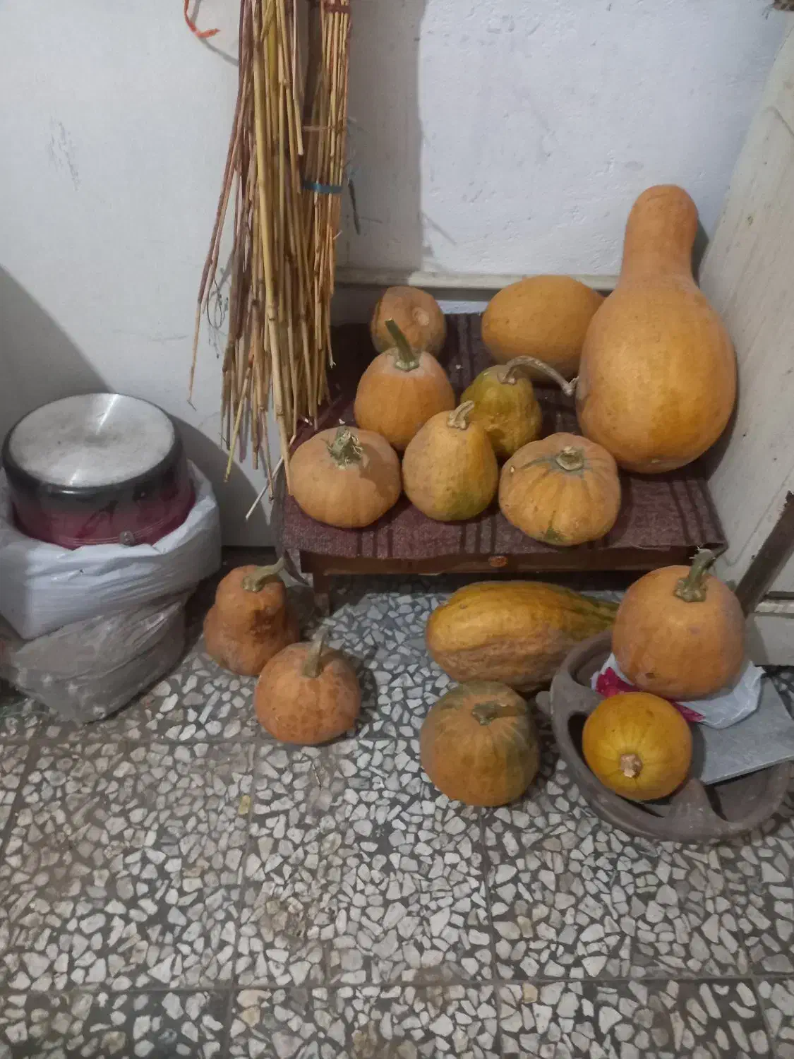 کدو|خوردنی و آشامیدنی|رشت, کوی حسینی|دیوار