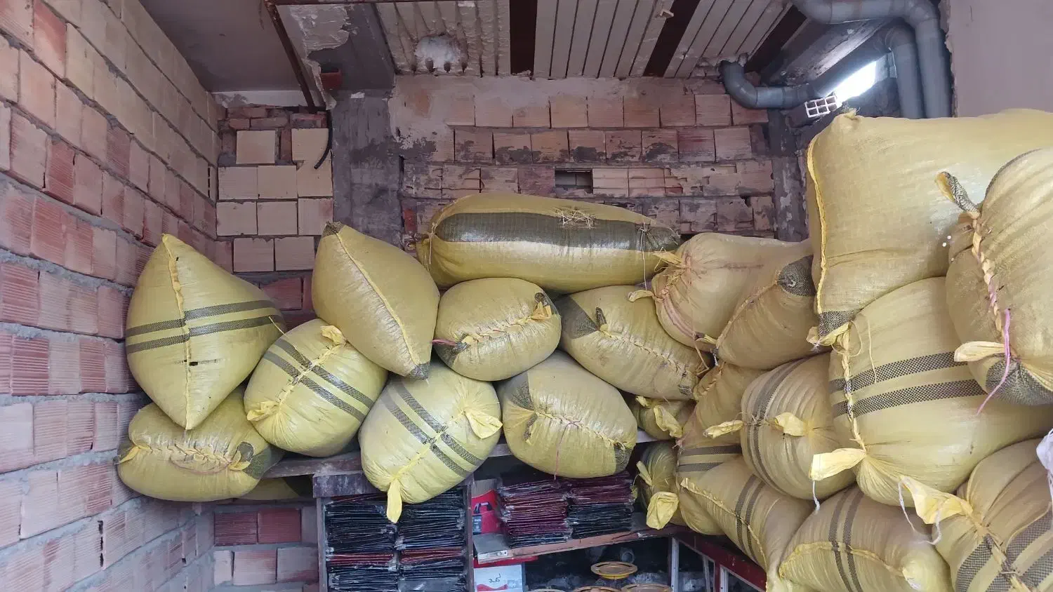 تخمه|عمده‌فروشی|سرعین, |دیوار