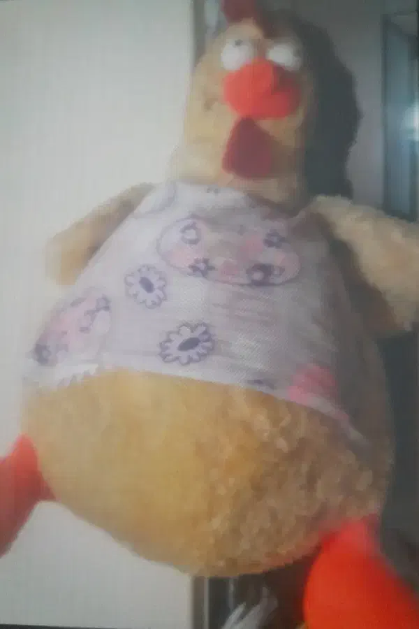 عروسک|لوازم جانبی موبایل و تبلت|مشهد, مشکینی (شهرک غرب)|دیوار