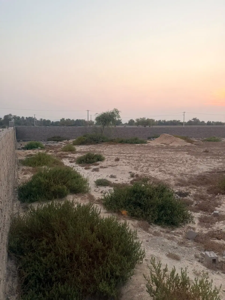 تصویر 3