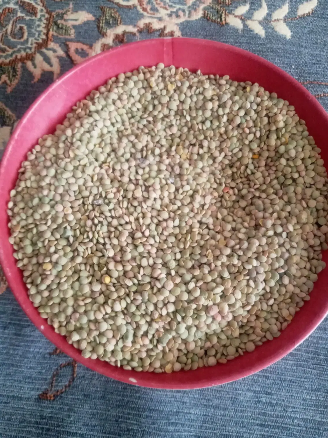 عدس|خوردنی و آشامیدنی|نهاوند, |دیوار