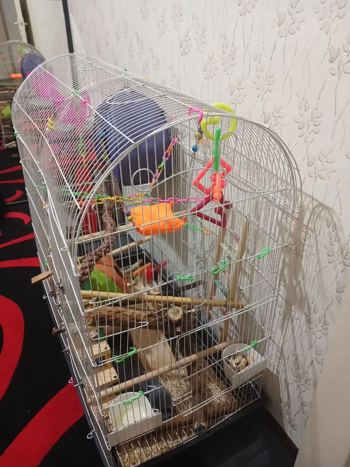 قفس بزرگ|لوازم جانبی حیوانات|محمدیه-قزوین, |دیوار