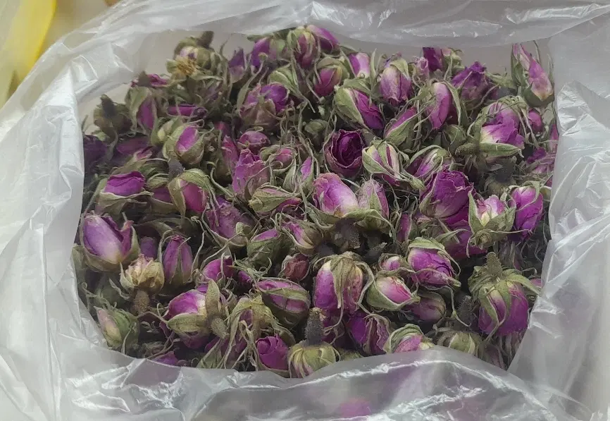 گل محمدی|گل و گیاه طبیعی|سبزوار, قصبه شرقی|دیوار