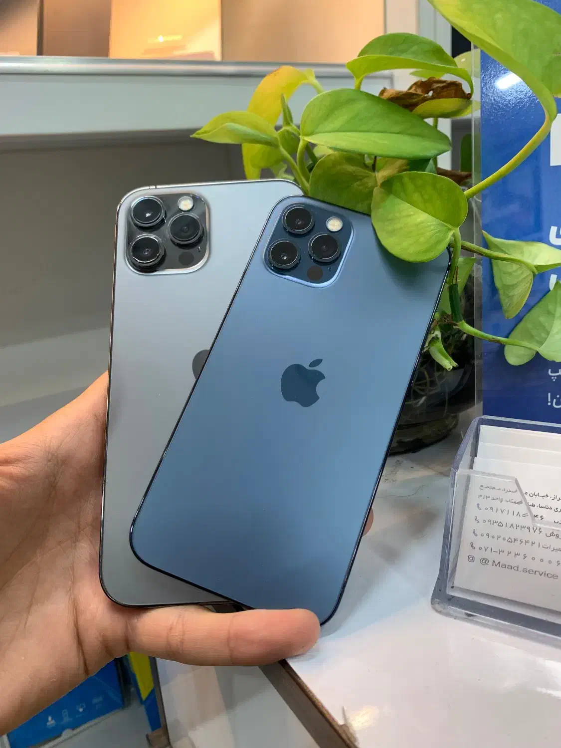 iphone 12pro max|موبایل|شیراز, ملاصدرا|دیوار