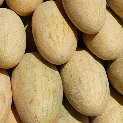 خربزه|خوردنی و آشامیدنی|هلالی, |دیوار
