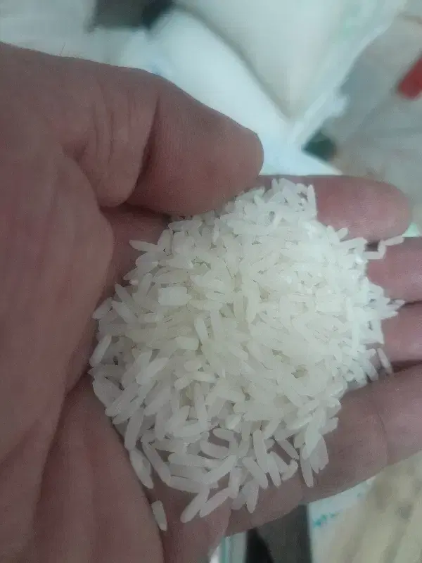 برنج|خوردنی و آشامیدنی|کرج, شهر صنعتی|دیوار