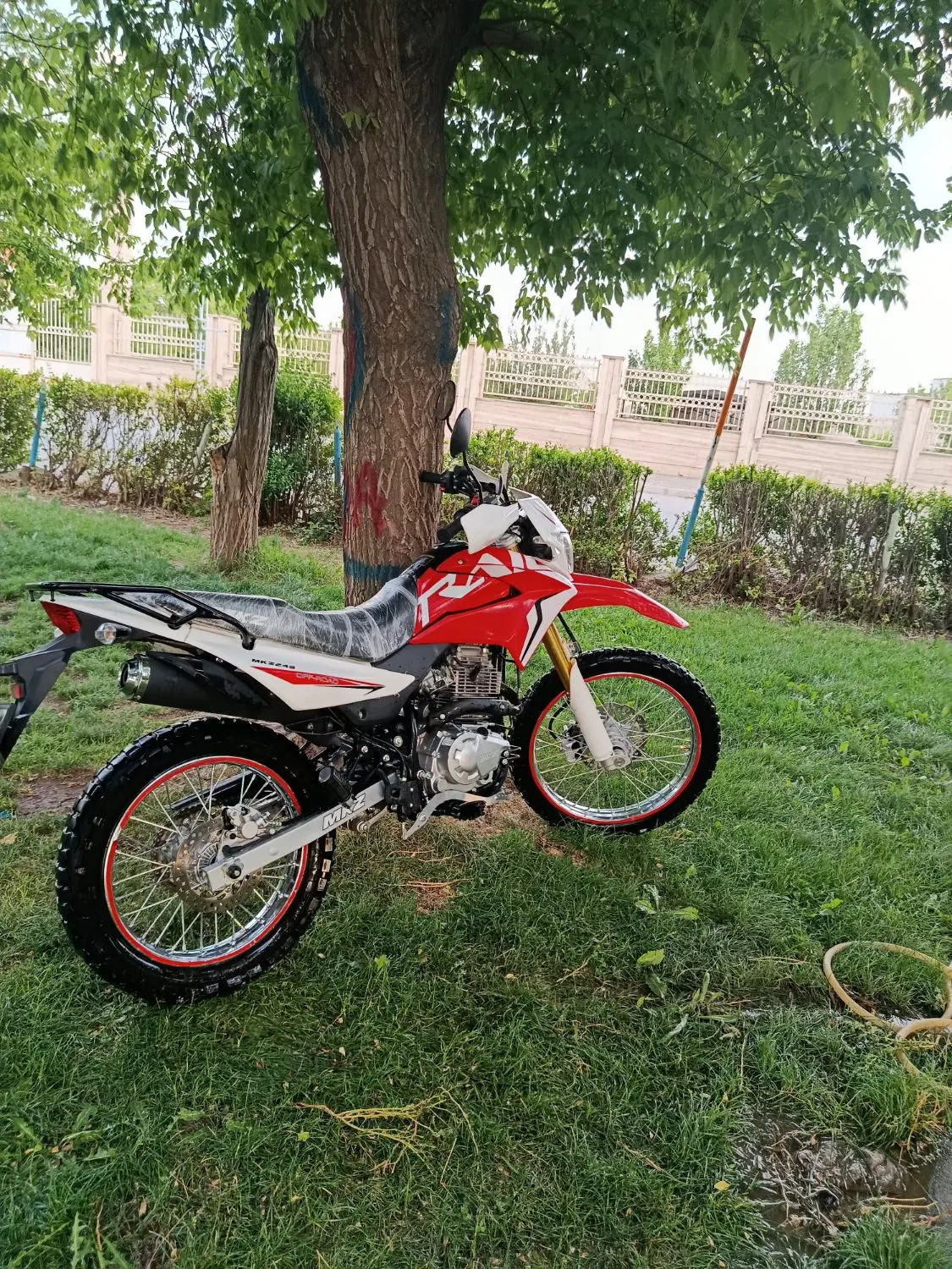 MKZ250|موتورسیکلت|ایجرود, |دیوار
