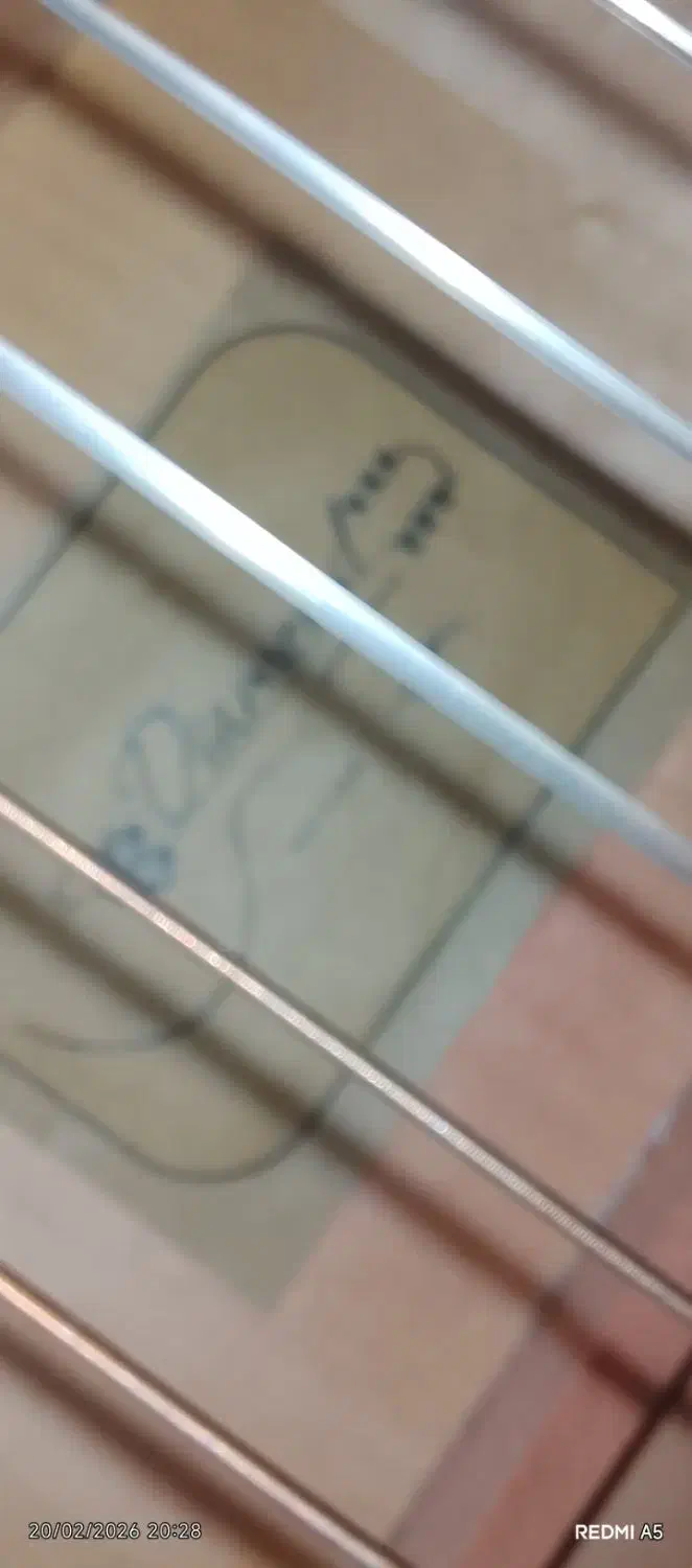 گیتار|گیتار، بیس، امپلیفایر|یاسوج, |دیوار