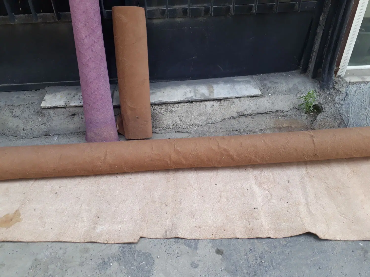 موکت|موکت|گرگان, |دیوار