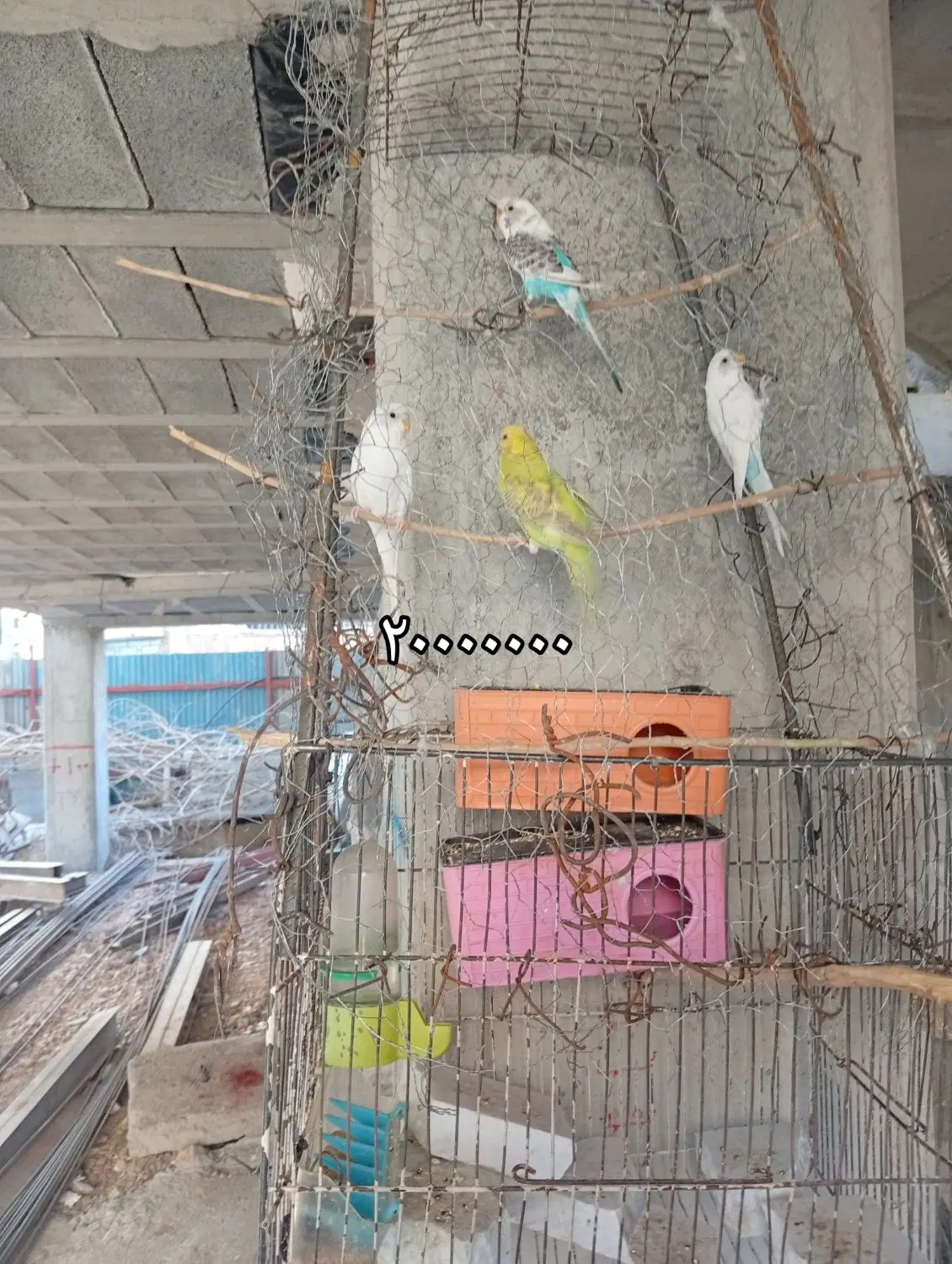 پوکه ۷۵|موبایل|اصفهان, سروستان|دیوار