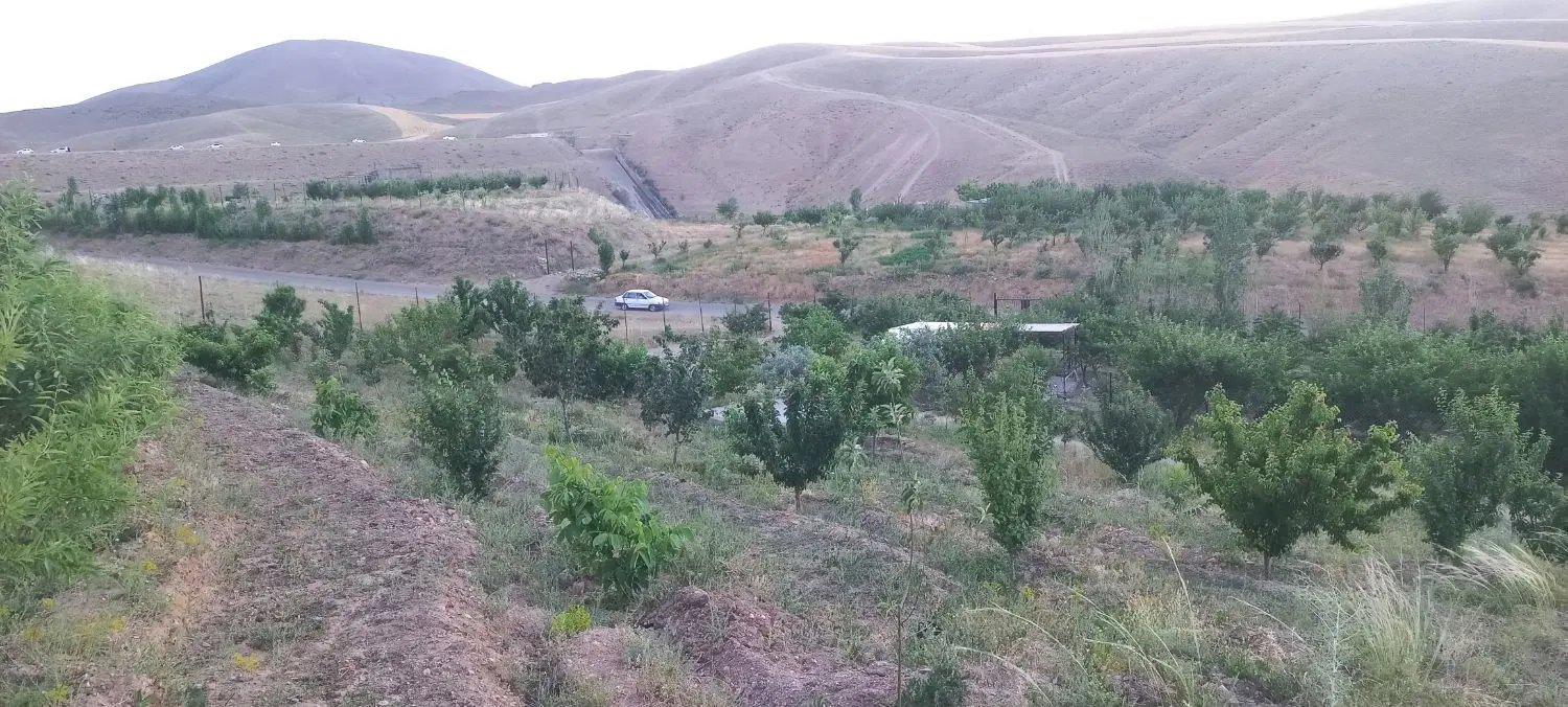 باغ|خدمات باغبانی و درختکاری|زنجان, |دیوار