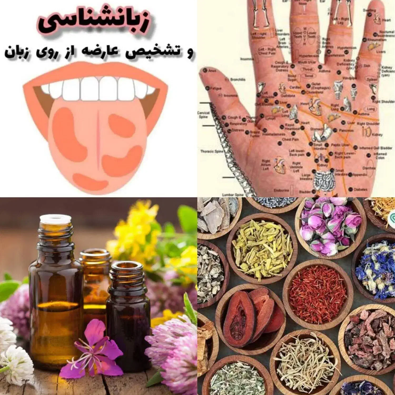 اموزش|گردهمایی و همایش|زاهدان, |دیوار