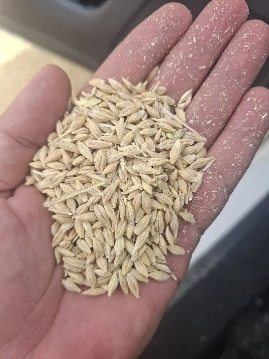 جو خشک|خدمات باغبانی و درختکاری|مهاباد (اصفهان), |دیوار