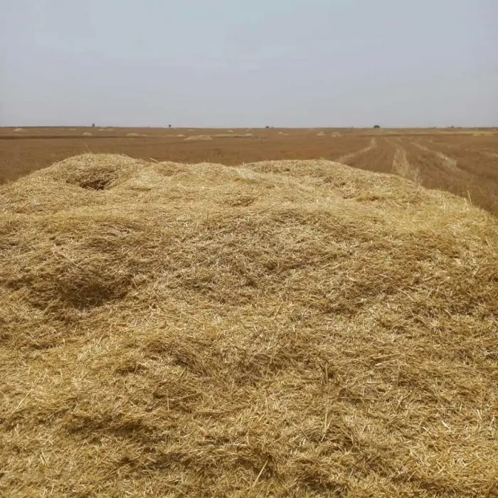 کاه|گل و گیاه طبیعی|کوهدشت, |دیوار