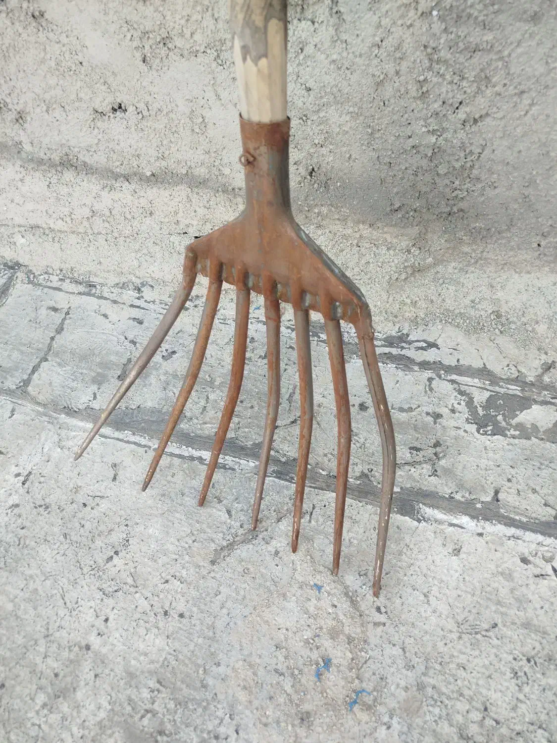 یاوا|حراج|همدان, |دیوار