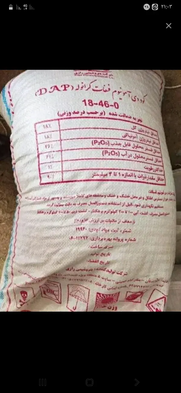کودرازی|خدمات باغبانی و درختکاری|صحنه, |دیوار