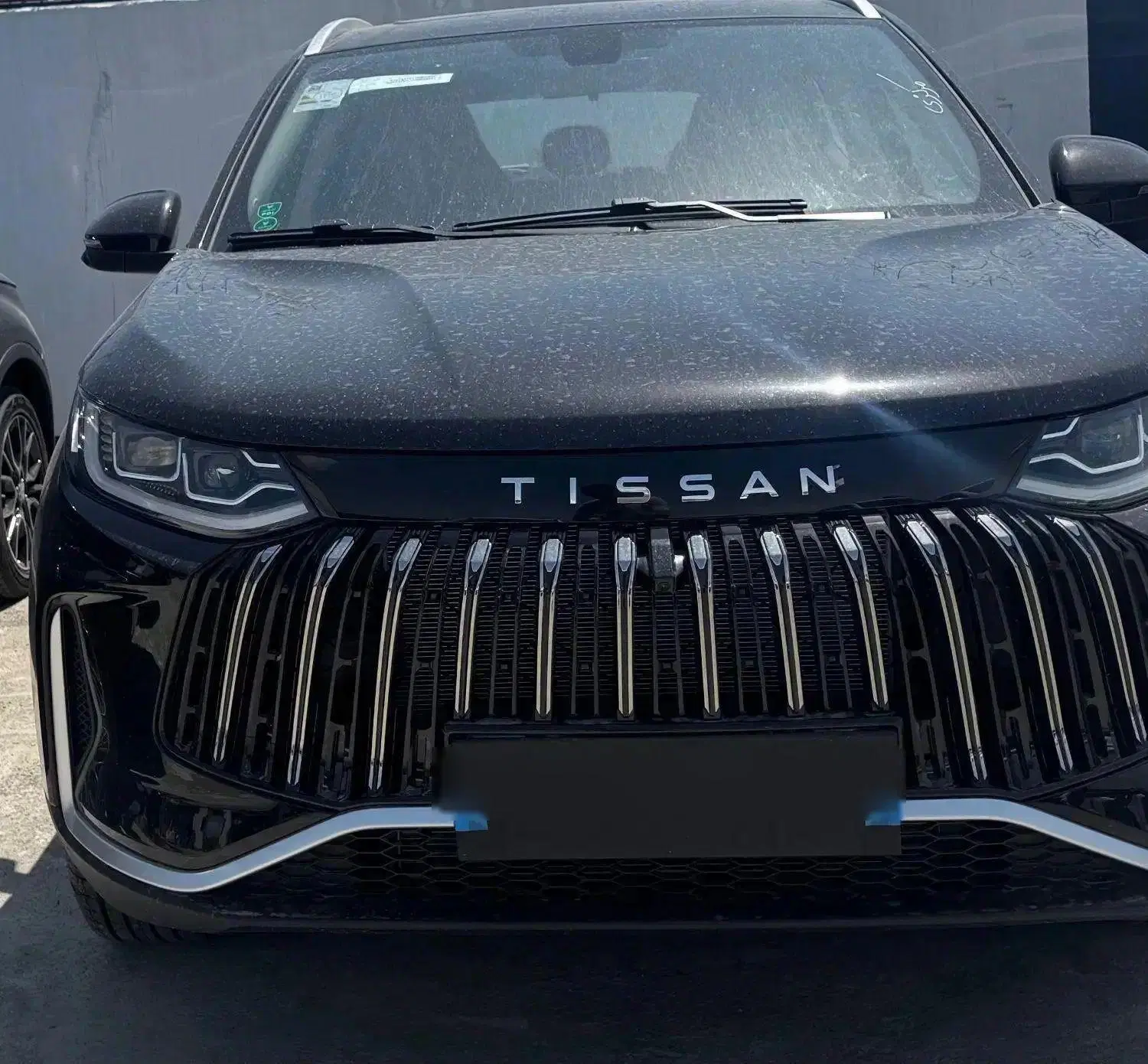 TISSAN تیسان|خودرو سواری و وانت|تهران, ده‌ونک|دیوار