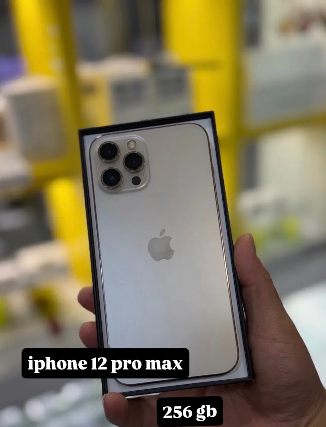 12 pro max 256|موبایل|تهران, تجریش|دیوار