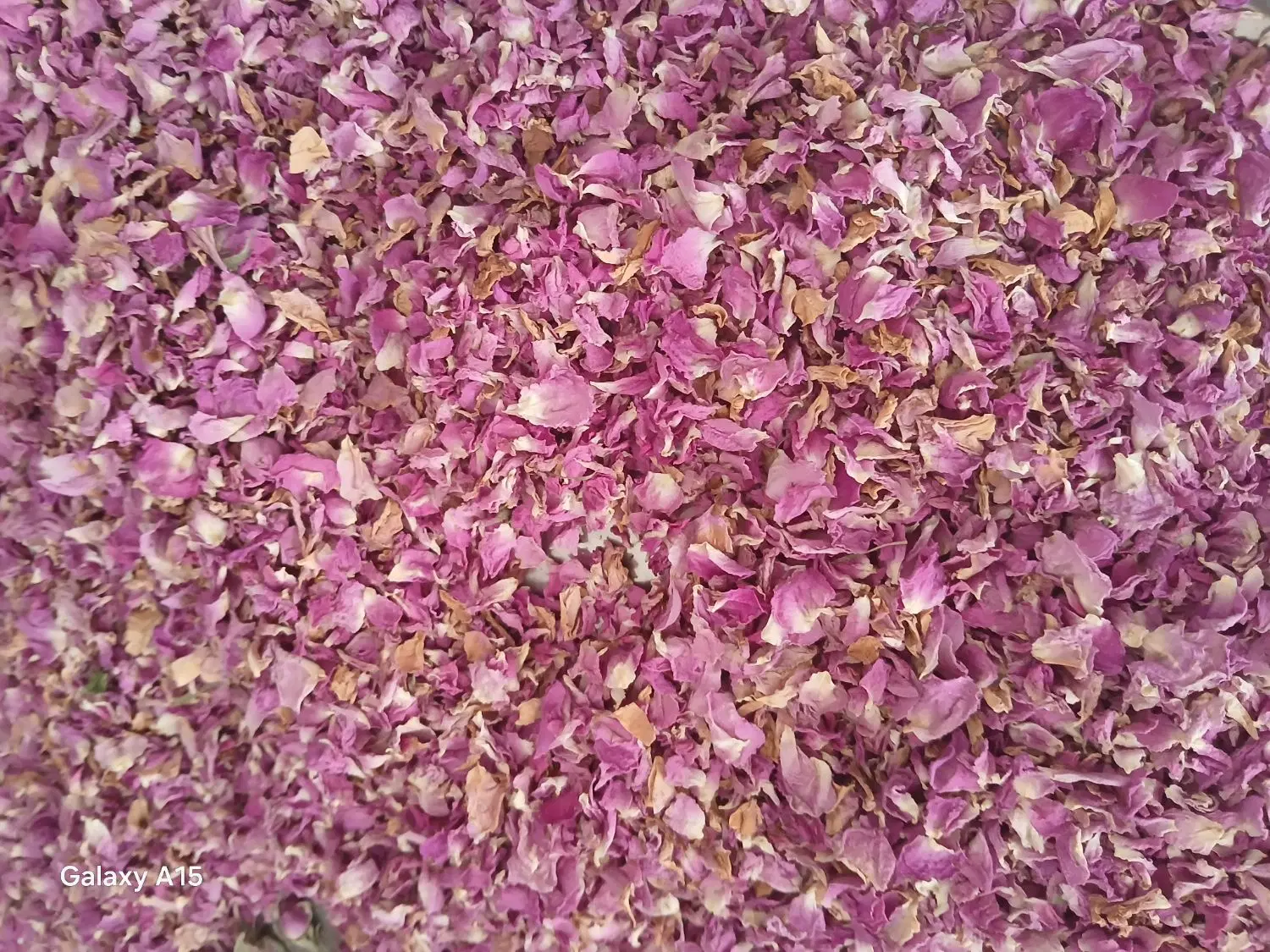 گل محمدی|خوردنی و آشامیدنی|کرج, شهرک آسمان|دیوار